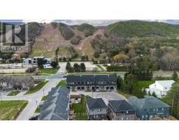 104 Delphi Court, Blue Mountains, ON N0H1J0 Photo 49