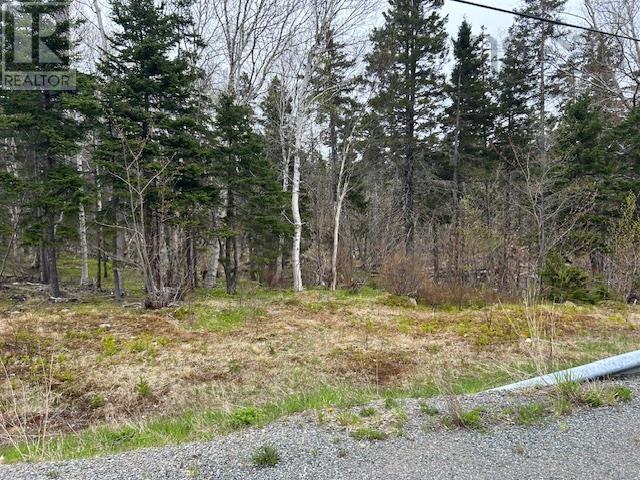 Property 10 of 19 of Cabot Trail
