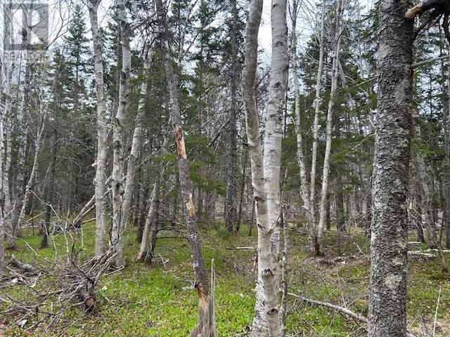 Property 14 of 19 of Cabot Trail