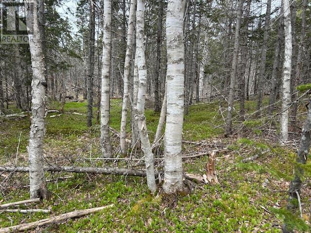 Property 11 of 19 of Cabot Trail