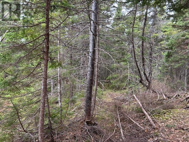 Property 13 of 19 of Cabot Trail