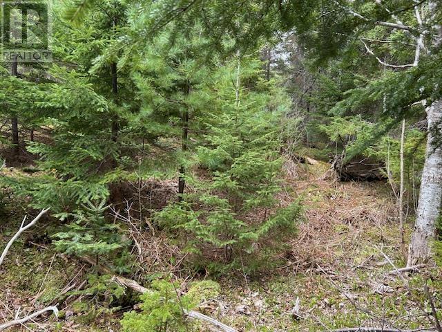 Property 15 of 19 of Cabot Trail