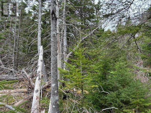 Property 12 of 19 of Cabot Trail