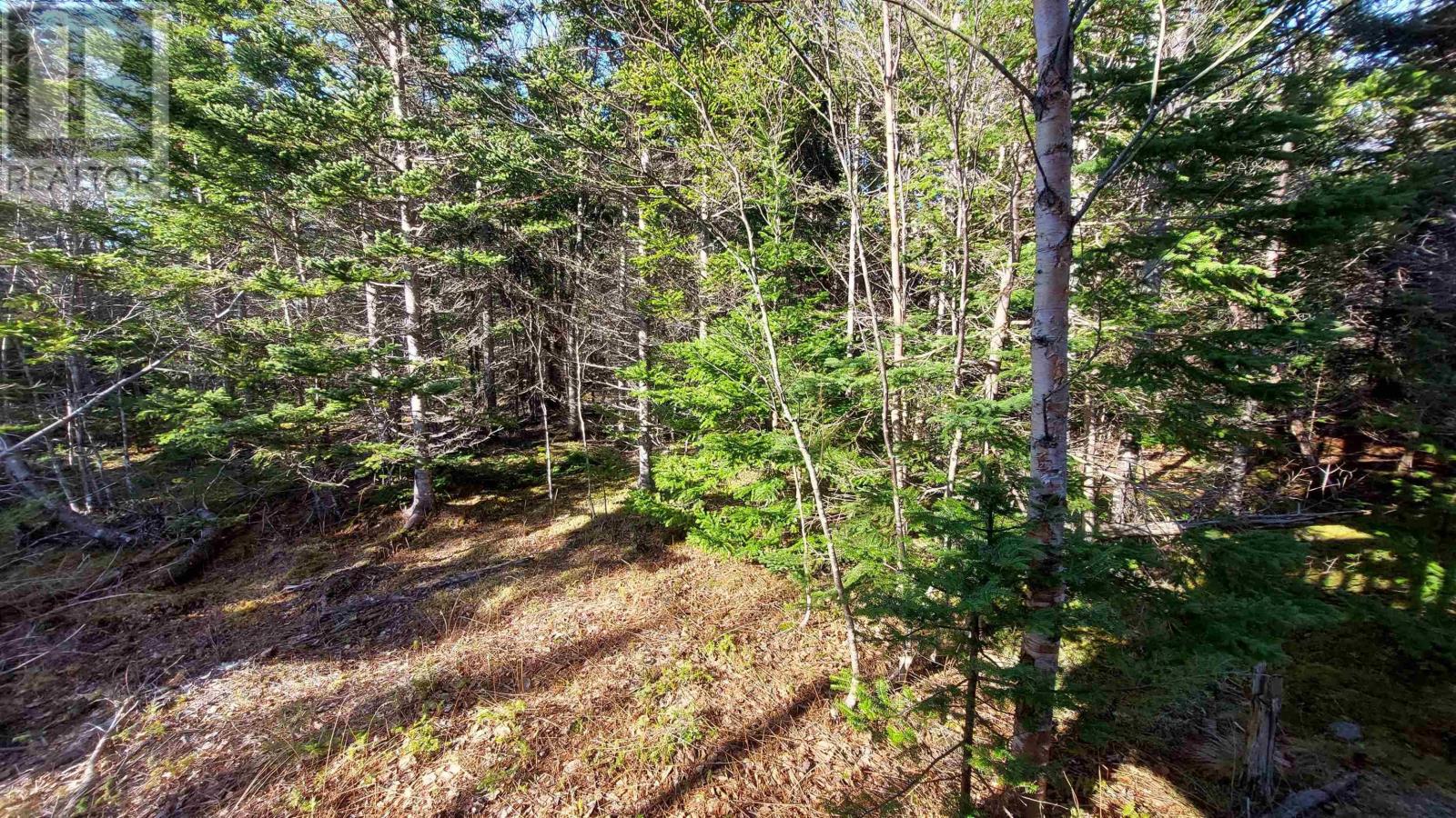 Property 9 of 16 of Lot 74-75 Peter Sosna Dr