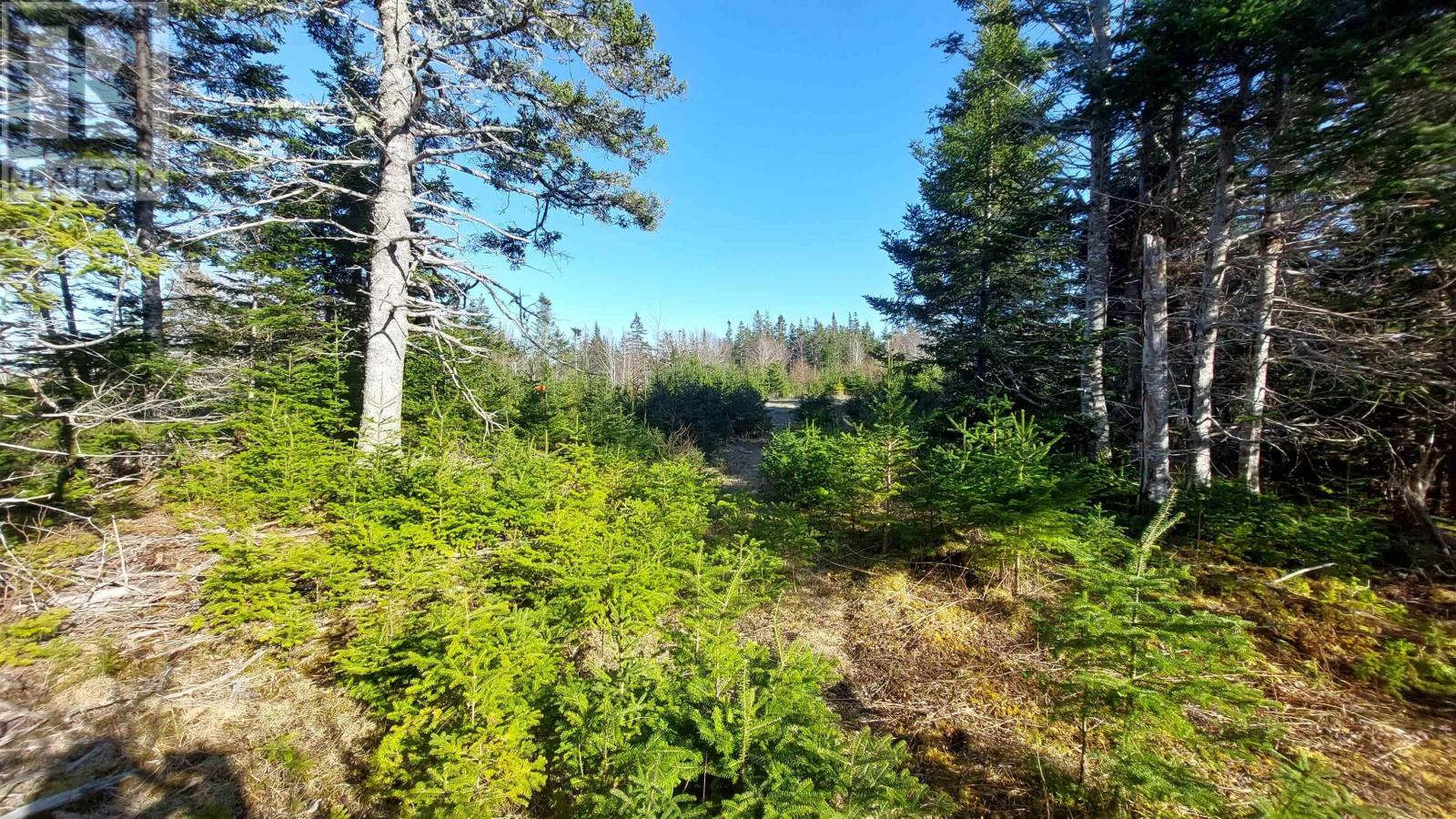 Property 7 of 16 of Lot 74-75 Peter Sosna Dr