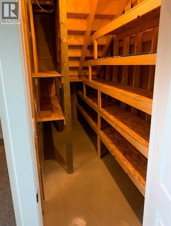 Storage under the stairs