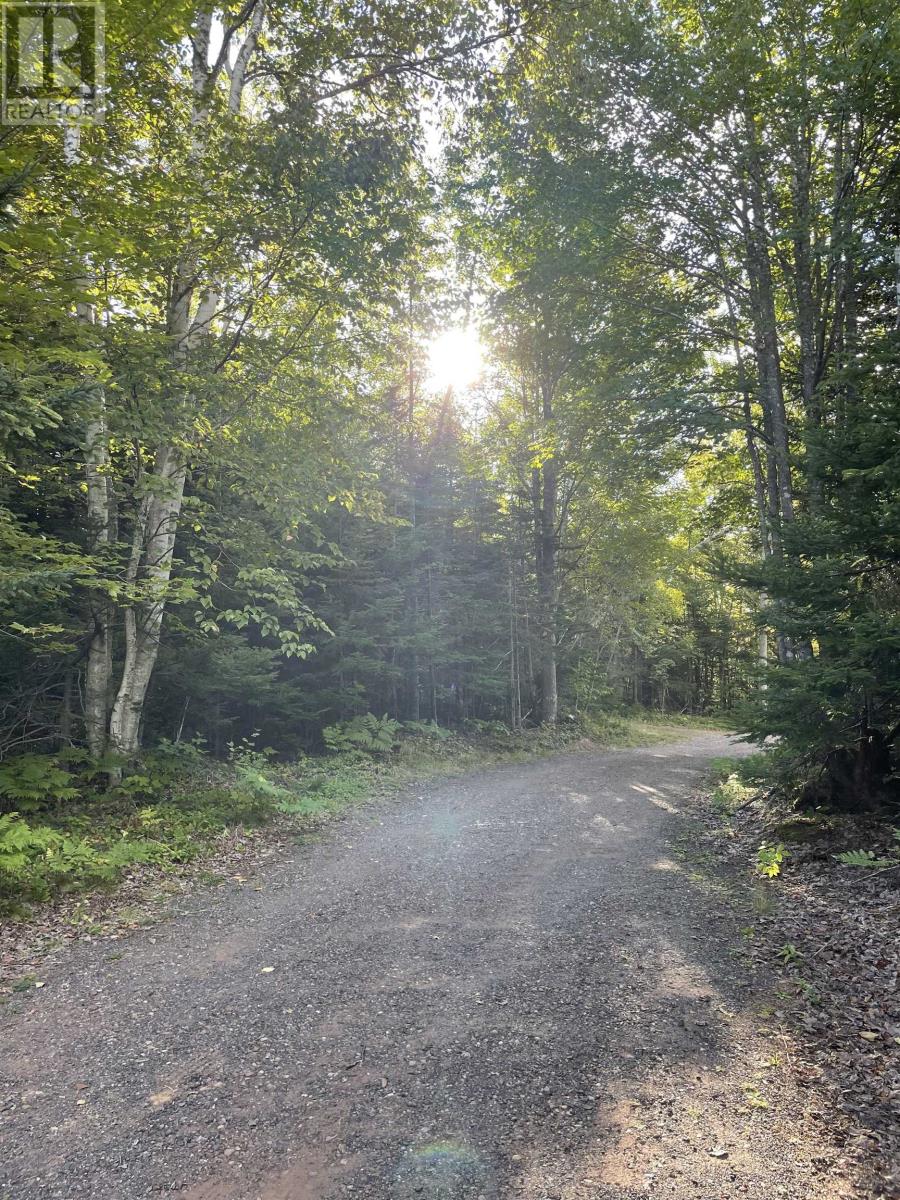23 Birch Crest Lane - 22