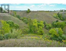 995305 Mono Adjala Townline, Adjala Tosorontio, ON L9R1V1 Photo 39
