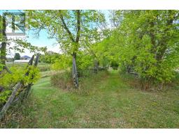 995305 Mono Adjala Townline, Adjala Tosorontio, ON L9R1V1 Photo 37