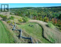 995305 Mono Adjala Townline, Adjala Tosorontio, ON L9R1V1 Photo 41