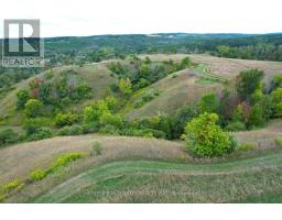995305 Mono Adjala Townline, Adjala Tosorontio, ON L9R1V1 Photo 42