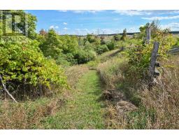995305 Mono Adjala Townline, Adjala Tosorontio, ON L9R1V1 Photo 36