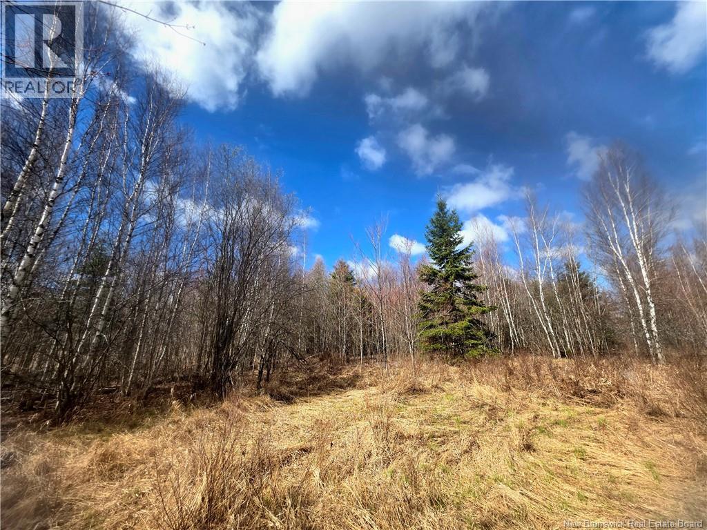 LOT Monteagle Road