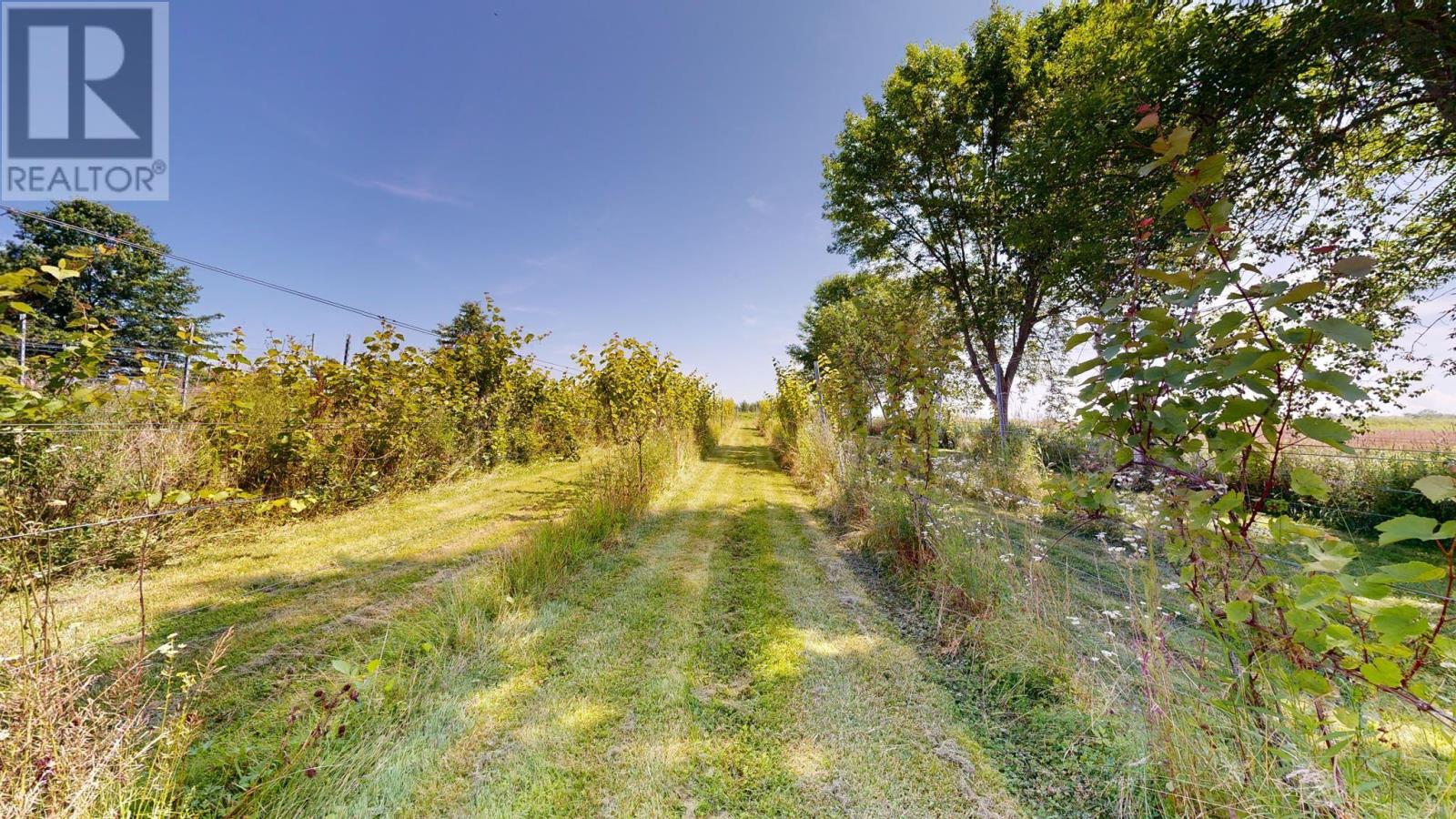 115 Magee Road - 4