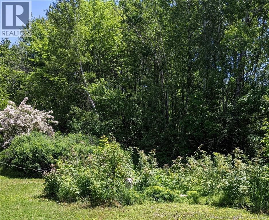 289 Cedar Street, Moncton — photo 3