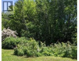 289 Cedar Street, photo 3