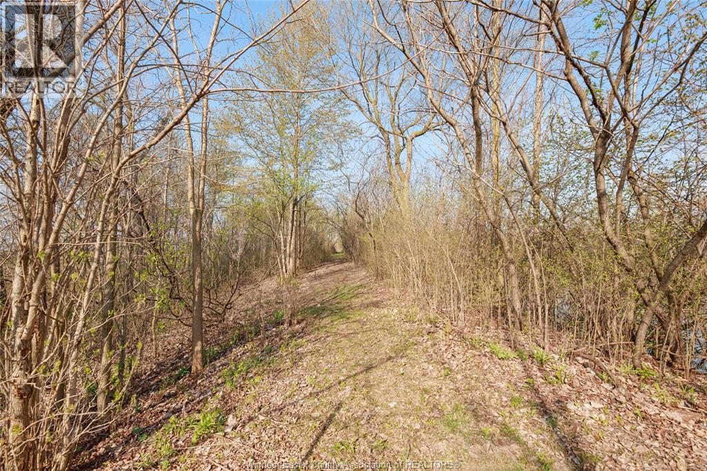 5689 Third Line, Chatham-Kent, Ontario, N7M5T1 — Photo 22
