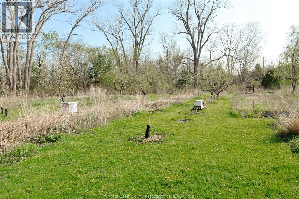 5689 Third Line, Chatham-Kent, Ontario, N7M5T1 — Photo 17