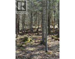 00-2 Reardon Road, Elmsville, NB E5A0B5 Photo 6