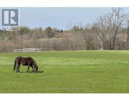 325 Zion Line, Cavan Monaghan, ON L0A1G0 Photo 43