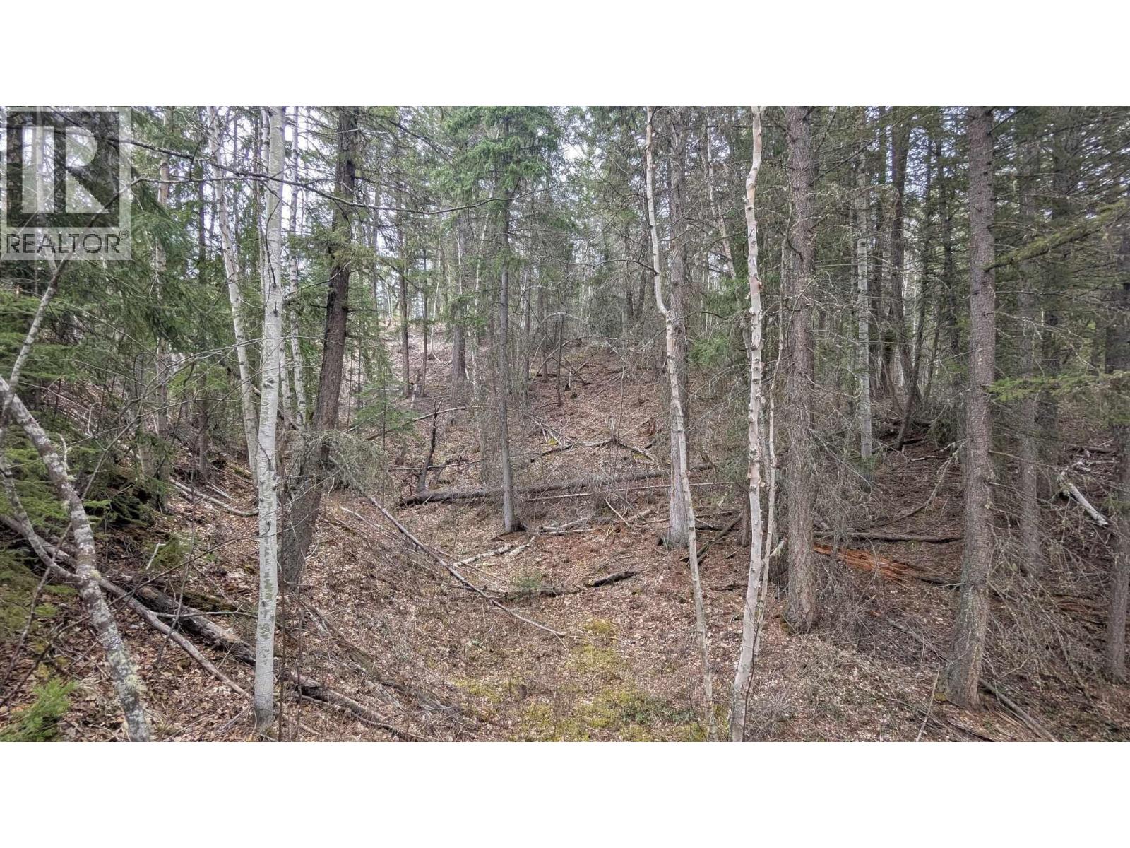 LOT 12 SUMMIT ROAD, Canim Lake