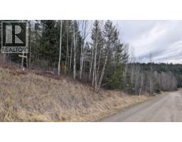 Lot 12 Summit Road, Canim Lake, BC V0K1J0 Photo 9