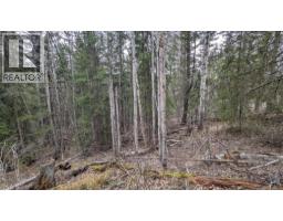 Lot 12 Summit Road, Canim Lake, BC V0K1J0 Photo 13