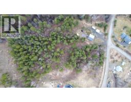 Lot 12 Summit Road, Canim Lake, BC V0K1J0 Photo 10