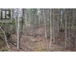 Lot 12 Summit Road, Canim Lake, BC V0K1J0 Photo 6