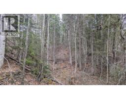 Lot 12 Summit Road, Canim Lake, BC V0K1J0 Photo 8