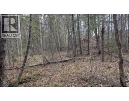 Lot 12 Summit Road, Canim Lake, BC V0K1J0 Photo 11