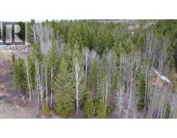 Lot 12 Summit Road, Canim Lake, BC V0K1J0 Photo 7