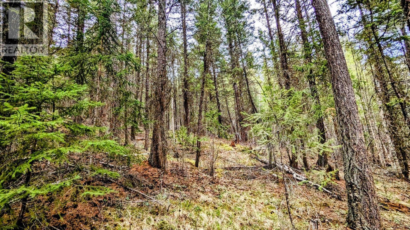LOT 5 CANIM HENDRIX LAKE ROAD, Canim Lake