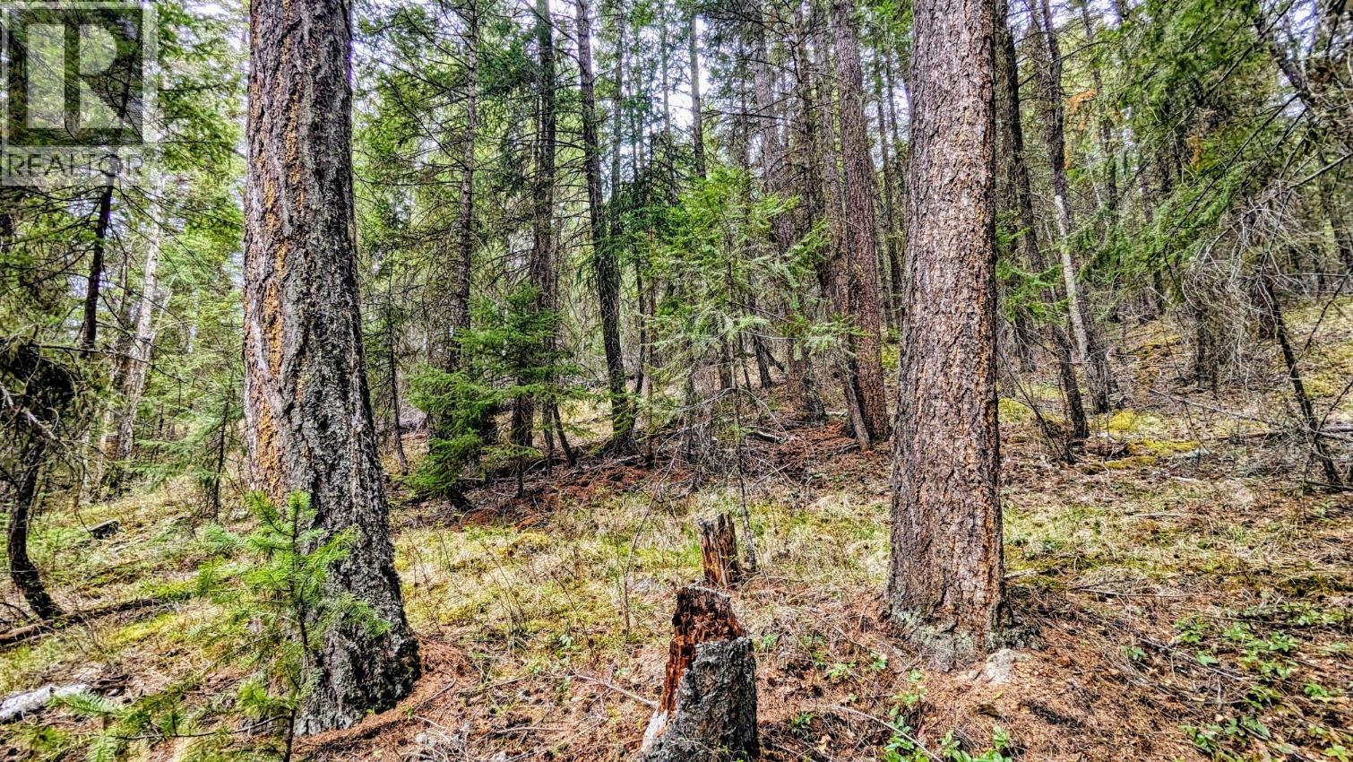 LOT 5 CANIM HENDRIX LAKE ROAD, Canim Lake