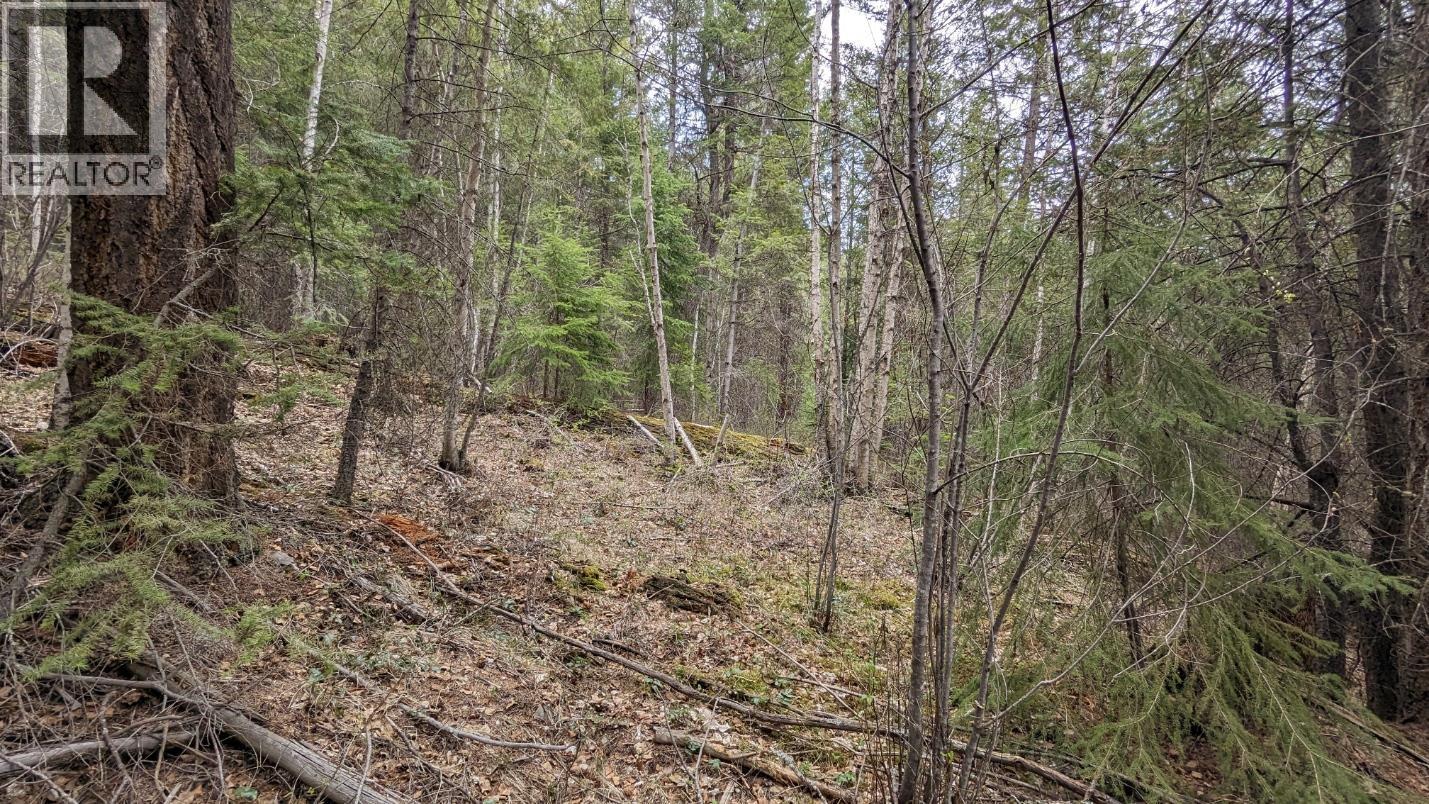 LOT 5 CANIM HENDRIX LAKE ROAD, Canim Lake