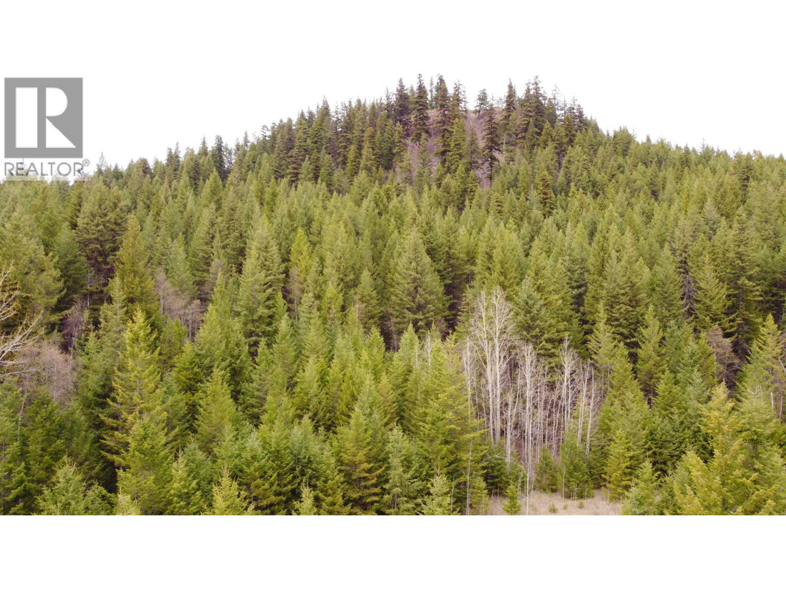 LOT 5 CANIM HENDRIX LAKE ROAD, Canim Lake