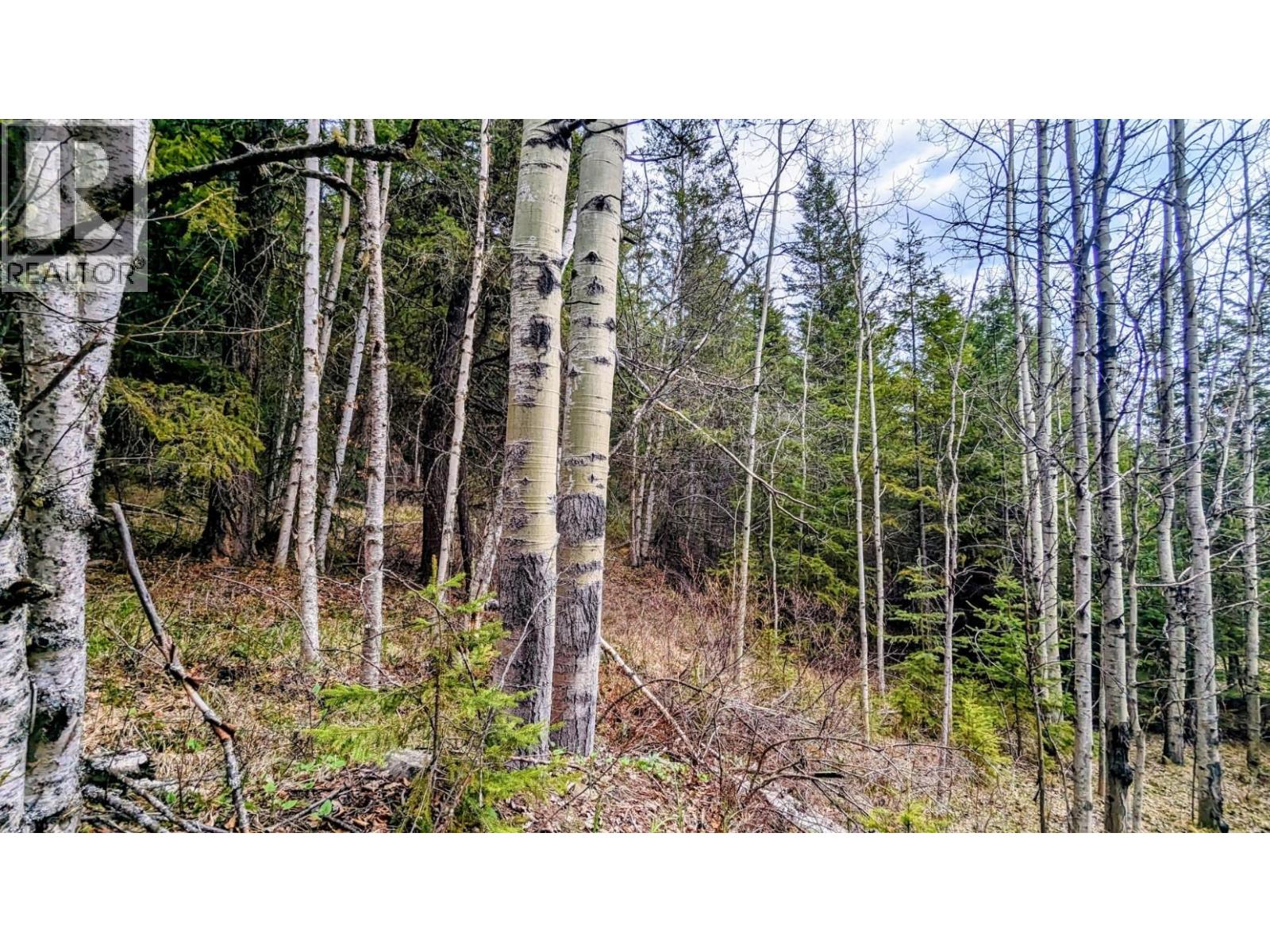 LOT 5 CANIM HENDRIX LAKE ROAD, Canim Lake