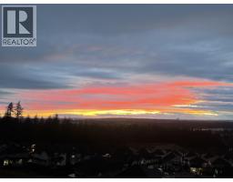 10163 247 Street, Maple Ridge, BC V2W0H1 Photo 33