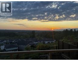 10163 247 Street, Maple Ridge, BC V2W0H1 Photo 35
