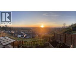 10163 247 Street, Maple Ridge, BC V2W0H1 Photo 36
