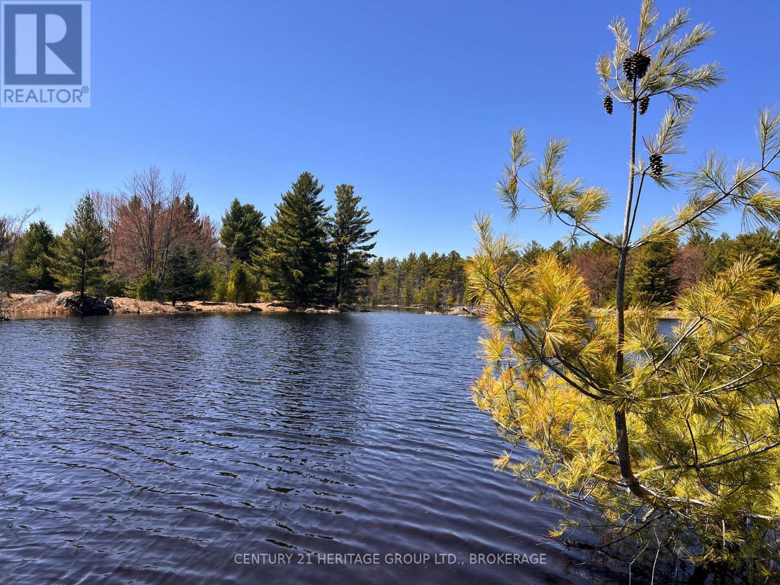 2355 RAYMO ROAD - 29