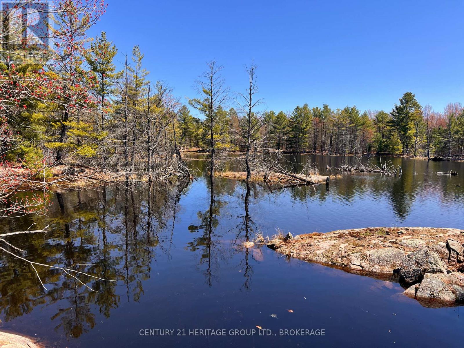 2355 RAYMO ROAD - 37
