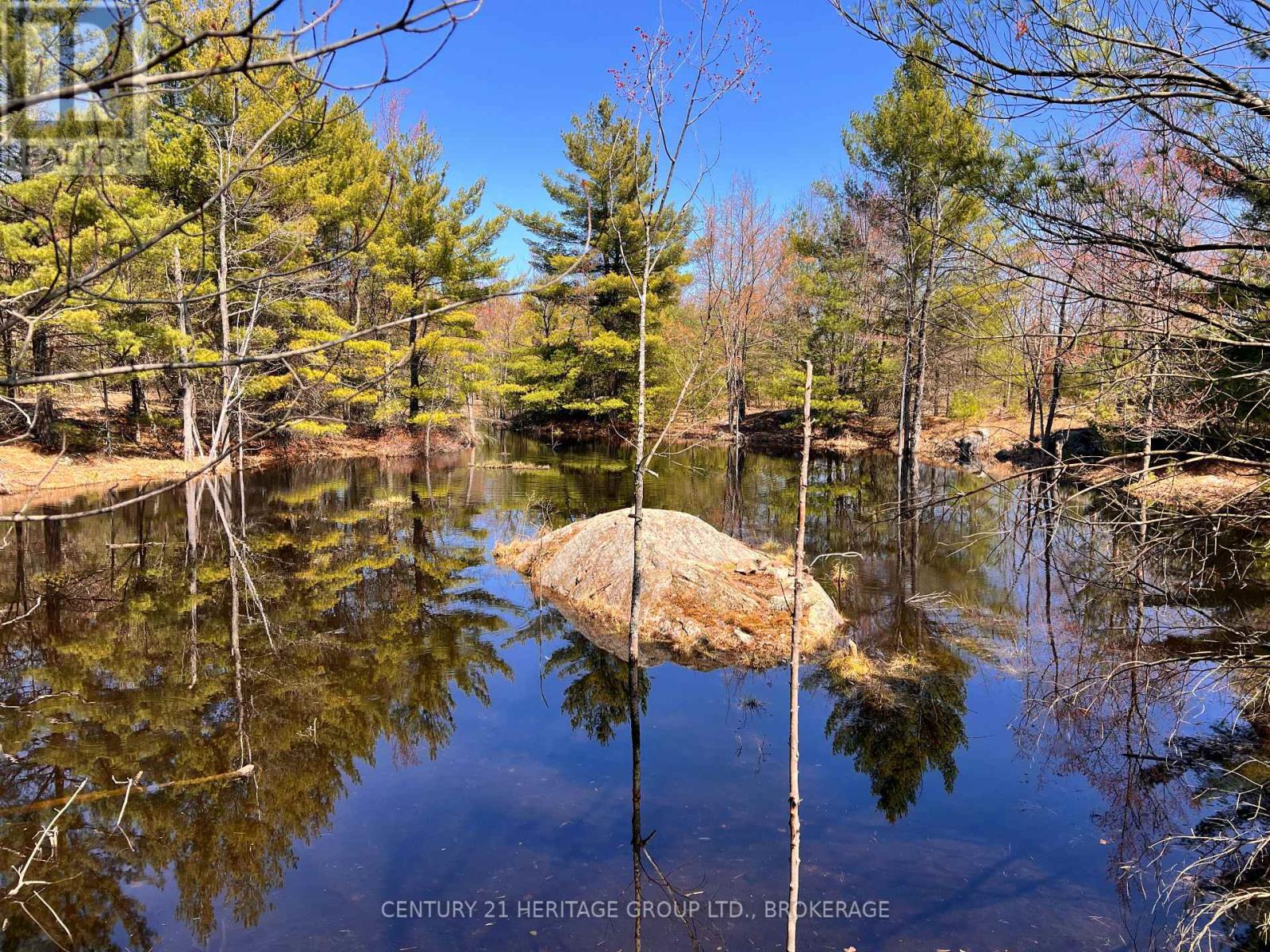 2355 RAYMO ROAD - 38