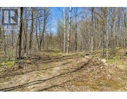 1089 Wagner Road, Frontenac, ON K0H2P0 Photo 16