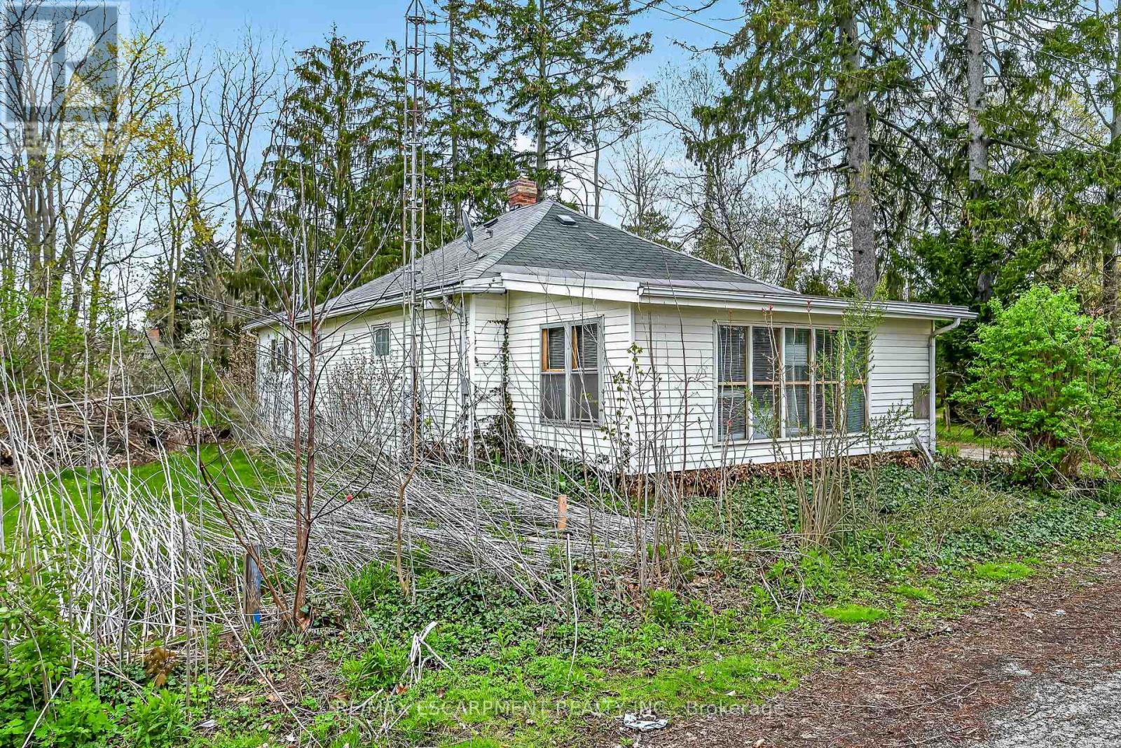 313 JOHN STREET - 36