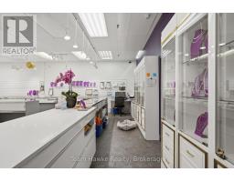 9225 County 93 Road, Midland, ON L4R4K4 Photo 11