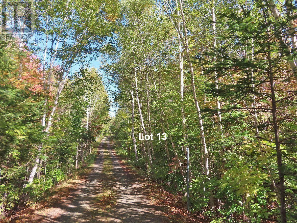 Property 2 of 26 of Lot 13 Belle View Lane