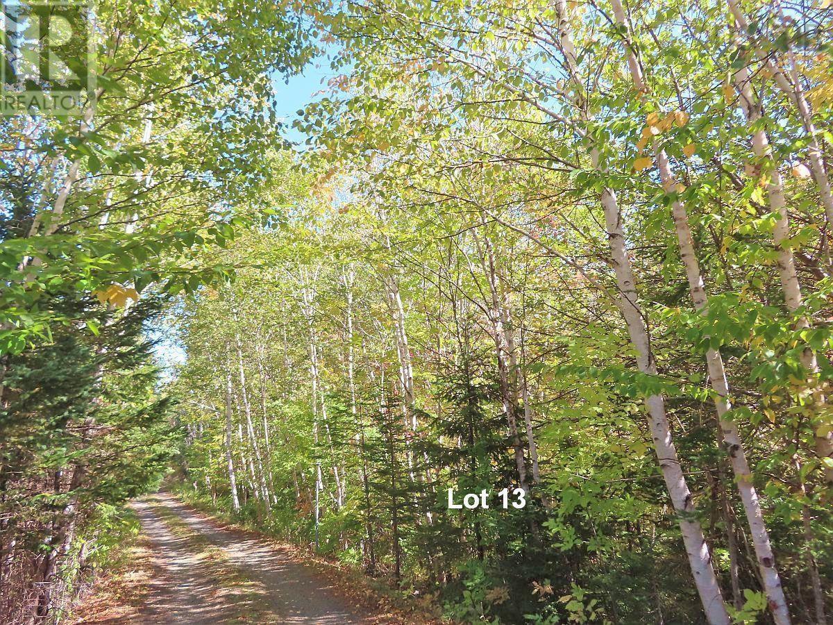 Property 4 of 26 of Lot 13 Belle View Lane