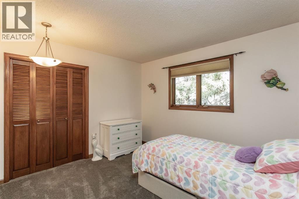 28342 Township Road 384, Rural Red Deer County