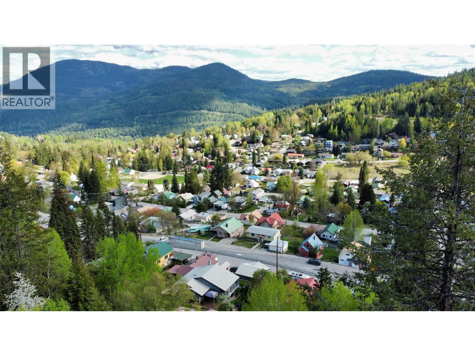 #409 1510 Nickleplate Road - 19